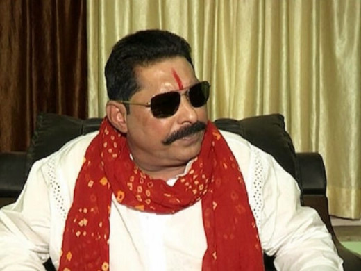 अनंत सिंह ने पार्टी टिकट पर दिया बड़ा बयान, कहा - किसी से पूछने की जरूरत नहीं