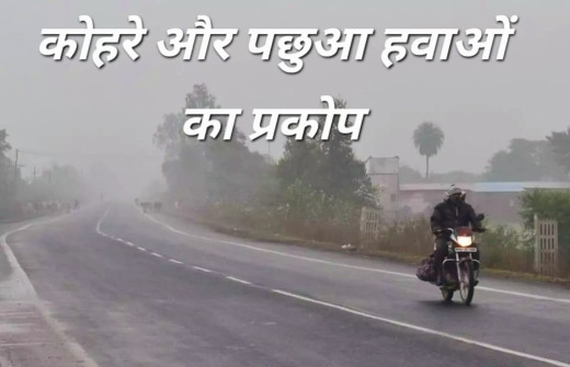 बिहार में ठंड का कहर जारी, धूप के बावजूद कनकनी, कोहरे और पछुआ हवाओं का प्रकोप