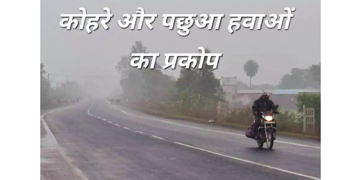 बिहार में ठंड का कहर जारी, धूप के बावजूद कनकनी, कोहरे और पछुआ हवाओं का प्रकोप