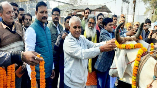 बंद पड़ी चीनी मिल में बैलगाड़ी से गन्ना लेकर पहुंचे किसान