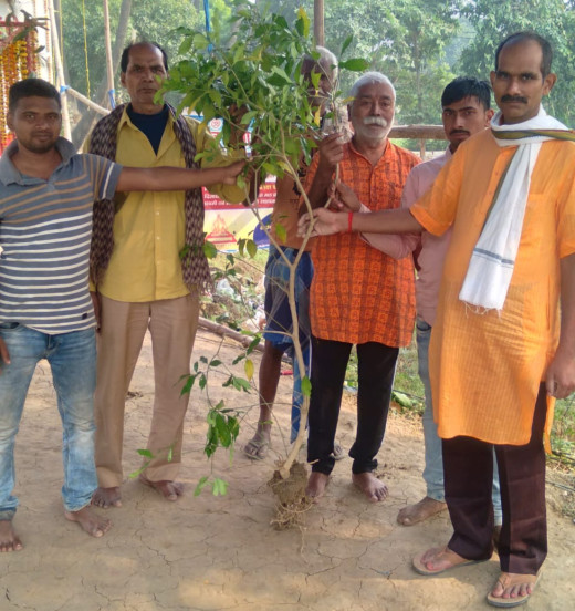 अमर सेनानी झलकारी बाई के जन्म दिवस पर वृक्षारोपण, पर्यावरण संरक्षण का संकल्प
