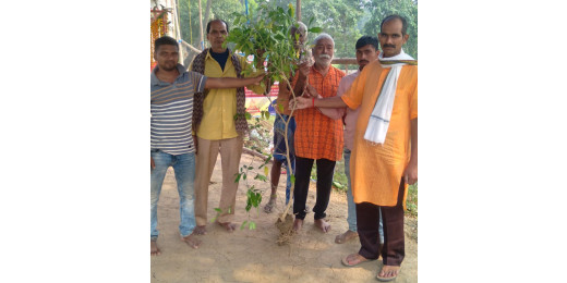 अमर सेनानी झलकारी बाई के जन्म दिवस पर वृक्षारोपण, पर्यावरण संरक्षण का संकल्प