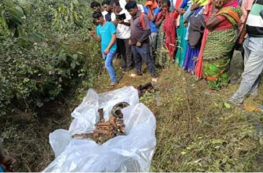 39 दिनों से लापता व्यक्ति का मैक्लुस्कीगंज में झाड़ियों से बरामद हुआ कंकाल, पुलिस कर रही जांच