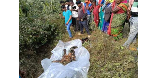 39 दिनों से लापता व्यक्ति का मैक्लुस्कीगंज में झाड़ियों से बरामद हुआ कंकाल, पुलिस कर रही जांच