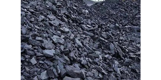 अवैध कोयला से लदी 24 बाइक जब्त, तीन गिरफ्तार