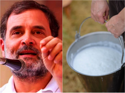 राहुल गांधी के बयान से सदमे में आया युवक, बाल्टी से गिर गया 5 लीटर दूध, केस दर्ज