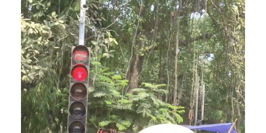 शहर में ट्रैफिक सिग्नल की हालत दयनीय