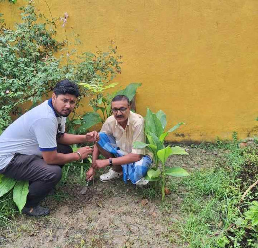 कैरस लेबोरेटरीज प्राइवेट लिमिटेड का वृक्षारोपण अभियान