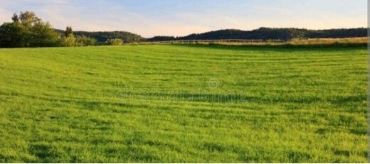 बिहार में जमीन के दामों में आएगा जबरदस्त उछाल, सैटेलाइट टाउनशिप की तैयारी तेज