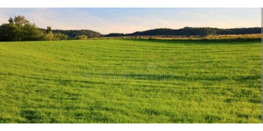 बिहार में जमीन के दामों में आएगा जबरदस्त उछाल, सैटेलाइट टाउनशिप की तैयारी तेज