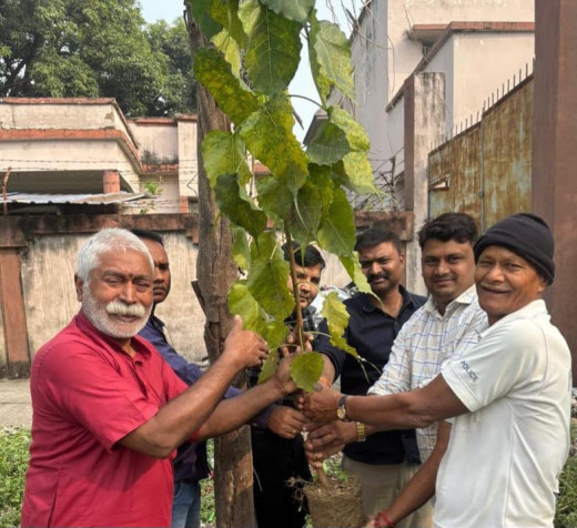 गुरु तेगबहादुर बलिदान दिवस पर पीपल का वृक्षारोपण 