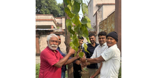 गुरु तेगबहादुर बलिदान दिवस पर पीपल का वृक्षारोपण