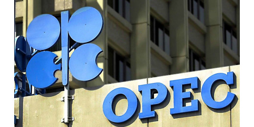 OPEC देशों पर भारत कसेगा शिकंजा, पेट्रोल और डीज़ल होंगे सस्ते