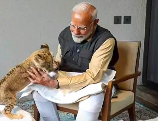शेर के बच्चों को दुलारते पीएम मोदी