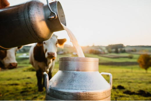 पाकिस्तान में महंगाई से लोग बेहाल, दूध हुआ 210 रुपये प्रति लीटर