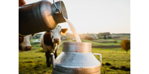 पाकिस्तान में महंगाई से लोग बेहाल, दूध हुआ 210 रुपये प्रति लीटर