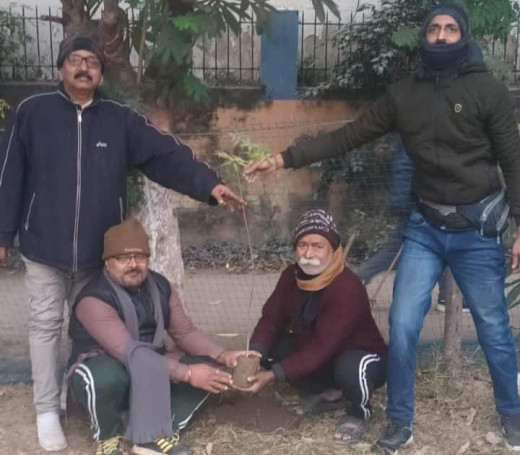 नेताजी के जन्म दिवस पर पर्यावरण भारती द्वारा पौधारोपण कार्यक्रम आयोजित