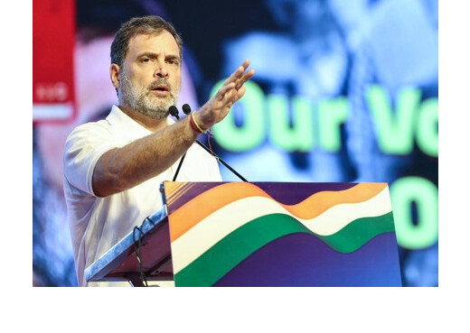 दिल्ली-एनसीआर से आवारा कुत्तों को हटाना अमानवीय और अदूरदर्शी कदम : राहुल गांधी