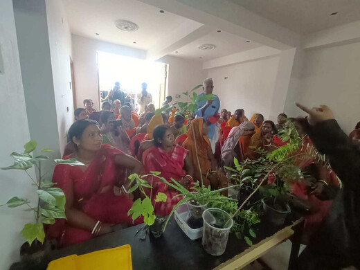 औषधीय पौधों की खेती और नर्सरी प्रबंधन सीखने 50 किसान जमुई रवाना