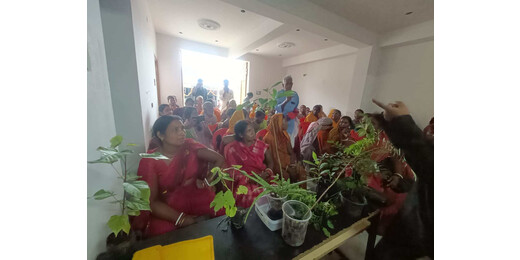औषधीय पौधों की खेती और नर्सरी प्रबंधन सीखने 50 किसान जमुई रवाना
