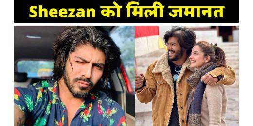 जेल से बाहर आने के बाद छलका शीजान खान का दर्द