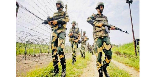 बीएसएफ ने 19 बांग्लादेशियों को अवैध घुसपैठ के आरोप में किया गिरफ्तार