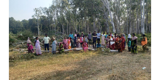 सोंस में पेड़ काटने पर ग्रामीण आक्रोशित, विरोध प्रदर्शन