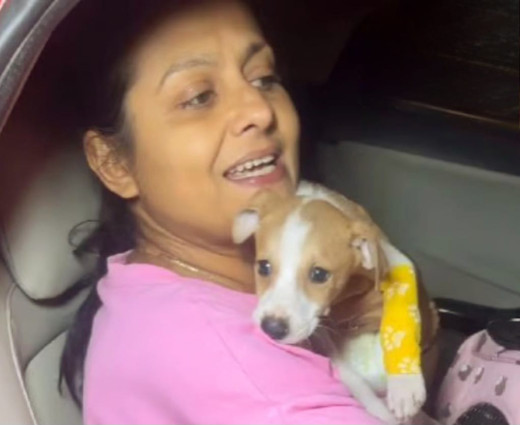 डेढ़ महीने के पपी के साथ शख्स ने किया रेप, एक्ट्रेस ने की न्याय की मांग