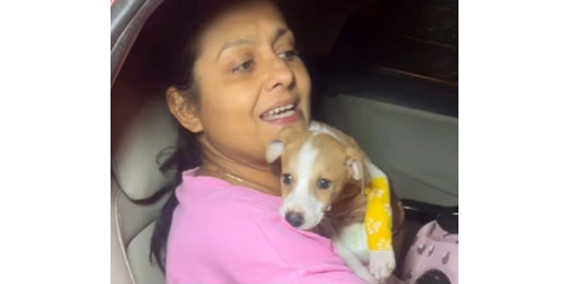 डेढ़ महीने के पपी के साथ शख्स ने किया रेप, एक्ट्रेस ने की न्याय की मांग