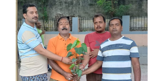 अंतरराष्ट्रीय बाघ दिवस पर पर्यावरण भारती ने किया पीपल का पौधारोपण, संरक्षण का दिया संदेश