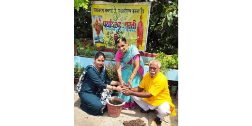 स्व. बालकृष्ण त्रिपाठी के पुण्यस्मृति में वृक्षारोपण