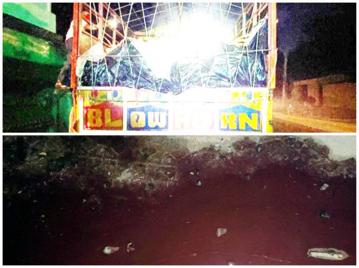 ट्रक से टपक रहा था खून, गौ रक्षकों ने किया पुलिस के हवाले 