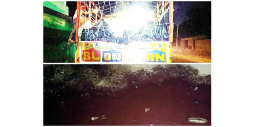 ट्रक से टपक रहा था खून, गौ रक्षकों ने किया पुलिस के हवाले 