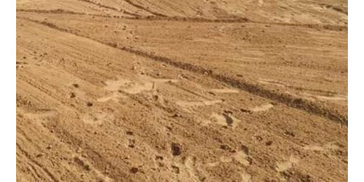 जमीन की कीमतों में आई उछाल से दुनिया भर में किसानों पर भारी दबाव : रिपोर्ट