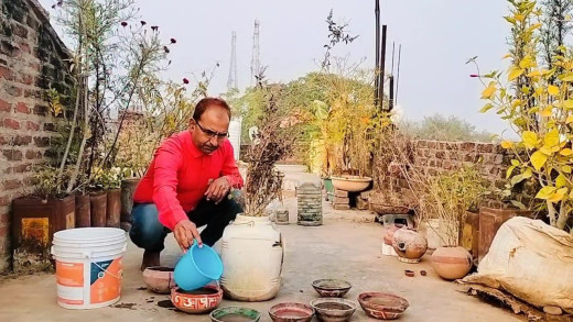 ठंडे मौसम में पक्षियों का रखें ख्याल, पक्षियों के लिए कुछ खास सुझाव 