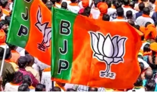 झारखंड में हार के बाद बीजेपी करेगी समीक्षा बैठक
