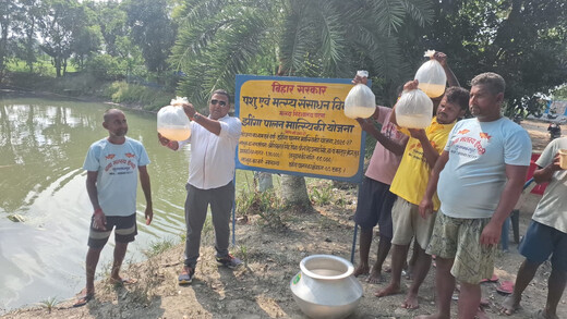 मुजफ्फरपुर में शुरू हुआ मीठे पानी में झींगा पालन, किसानों को कम लागत में अधिक मुनाफे की उम्मीद