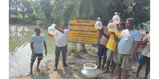 मुजफ्फरपुर में शुरू हुआ मीठे पानी में झींगा पालन, किसानों को कम लागत में अधिक मुनाफे की उम्मीद
