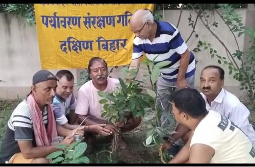 विश्व फेफड़ा कैंसर दिवस पर पौधारोपण, पर्यावरण संरक्षण का संदेश