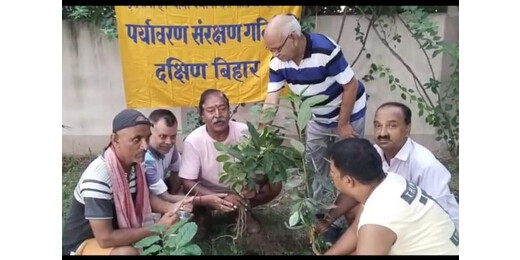 विश्व फेफड़ा कैंसर दिवस पर पौधारोपण, पर्यावरण संरक्षण का संदेश