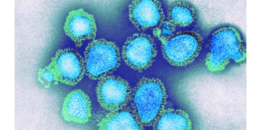 H3N2 वायरस बढ़ते देख आरजेडी अलर्ट, बिना मास्क एंट्री निषेध