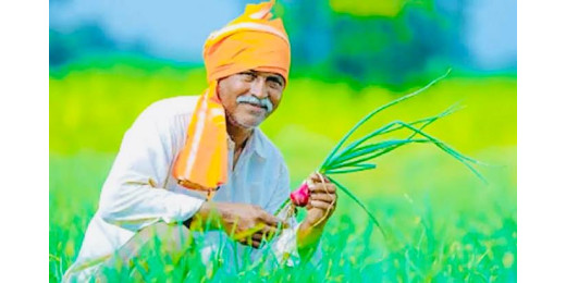 कृषि विभाग ने शुरू किया नए सिरे से फार्मर रजिस्ट्री अभियान, भूमि संबंधित जानकारी भी होगी दर्ज