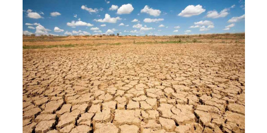 ग्लोबल वार्मिंग की वजह से तबाही की कगार पर दुनिया : रिपोर्ट