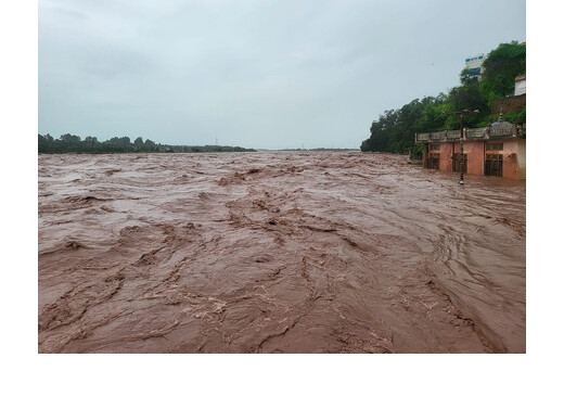 वियतनाम में बाढ़ से तबाही : 67,700 से ज्यादा घर डूबे, अनाज और पशुओं पर भी संकट