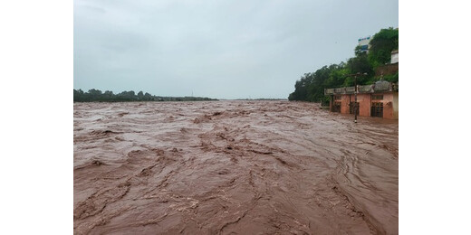 वियतनाम में बाढ़ से तबाही : 67,700 से ज्यादा घर डूबे, अनाज और पशुओं पर भी संकट