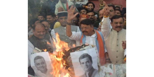 उपराष्ट्रपति मिमिक्री मामला : भाजपा नेताओं ने राहुल गाँधी का फूंका पुतला