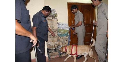 दिल्ली में 6 स्कूलों को फिर मिली बम से उड़ाने की धमकी, पुलिस और बम निरोधक दस्ता अलर्ट