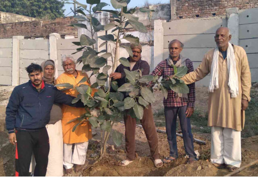 पूर्व प्रधानमंत्री भारत रत्न अटल बिहारी वाजपेयी के जन्मदिन पर देववृक्ष बरगद का वृक्षारोपण 