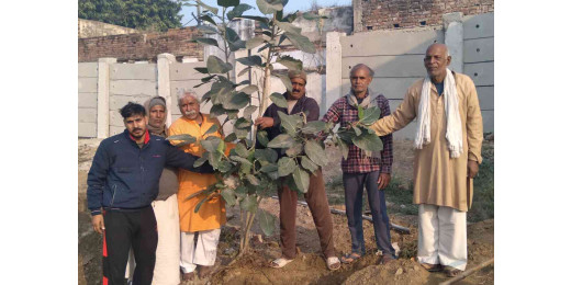 पूर्व प्रधानमंत्री भारत रत्न अटल बिहारी वाजपेयी के जन्मदिन पर देववृक्ष बरगद का वृक्षारोपण 