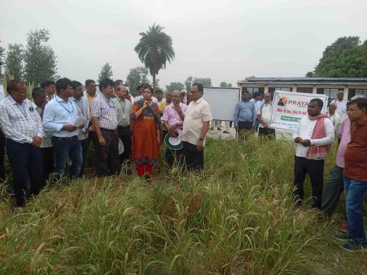 किसानों को मिलेट उगाने को लेकर किया गया जागरूक